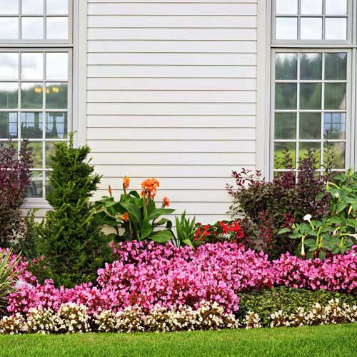 Home with white siding behind a flower bed.